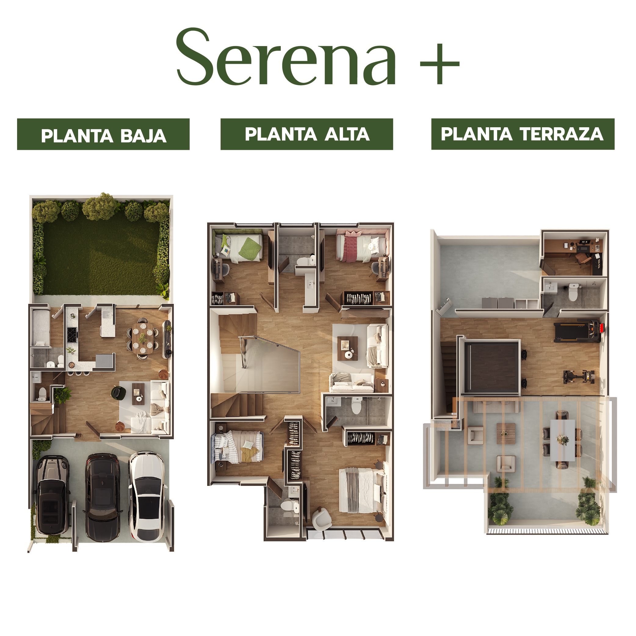 Serena Plus 249m² 